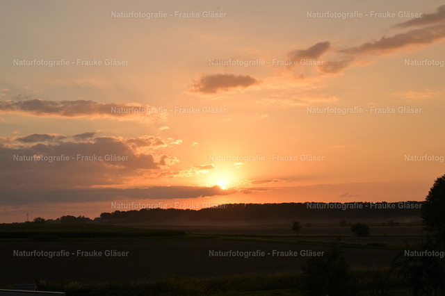 Sonnenuntergang in Bornum | Naturfotografie Frauke Gläser - Realisiert mit Pictrs.com