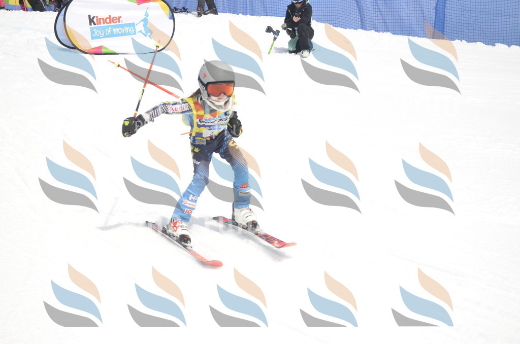 _ELE8794 | holidayphoto