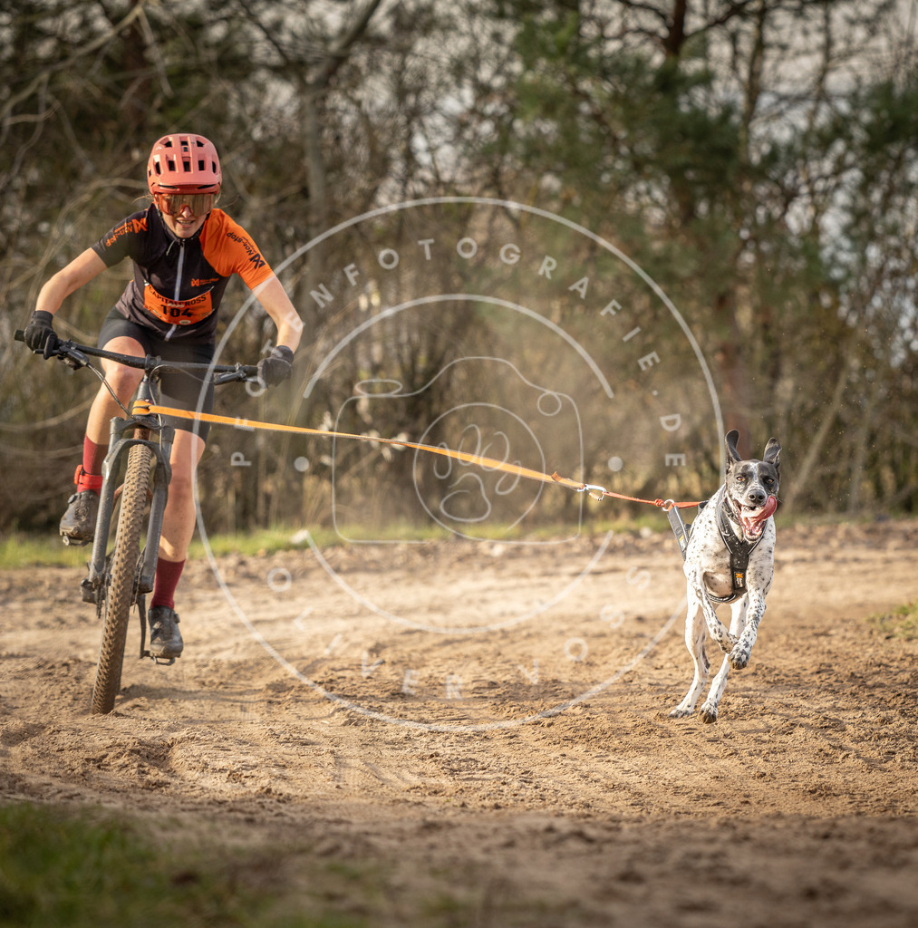 Pfotenfotografie_DV3A7557 | Hundefotografie, Tierfotograf, Pfotenfotografie, Fotoshooting Hund, Hunde Portrait, Hundesport, Hundeportraits, Heideshooting, Hunde, Sportfotograf, Hundefotograf, Turnierhundsport, THS,  - Realisiert mit Pictrs.com