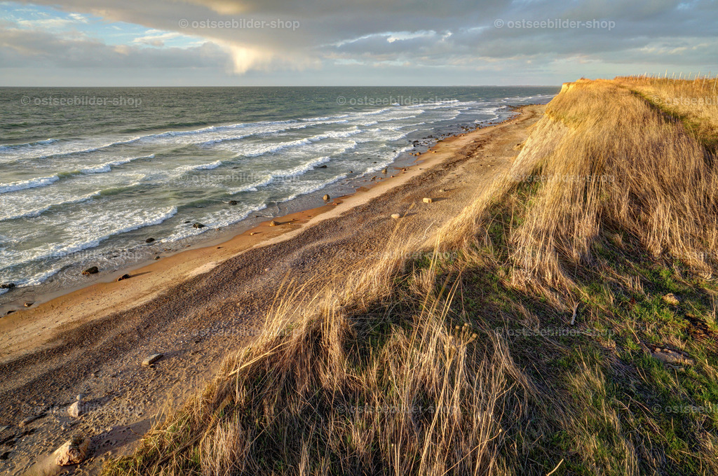 Blick vom Hochufer auf den Strand und das Meer im Abendlicht | Der Wind über der Ostsee bewegt die Gräser an der Kliffkante behutsam landeinwärts. Die Abendsonne taucht zum Tagesausklang alles in ein goldenes Licht.