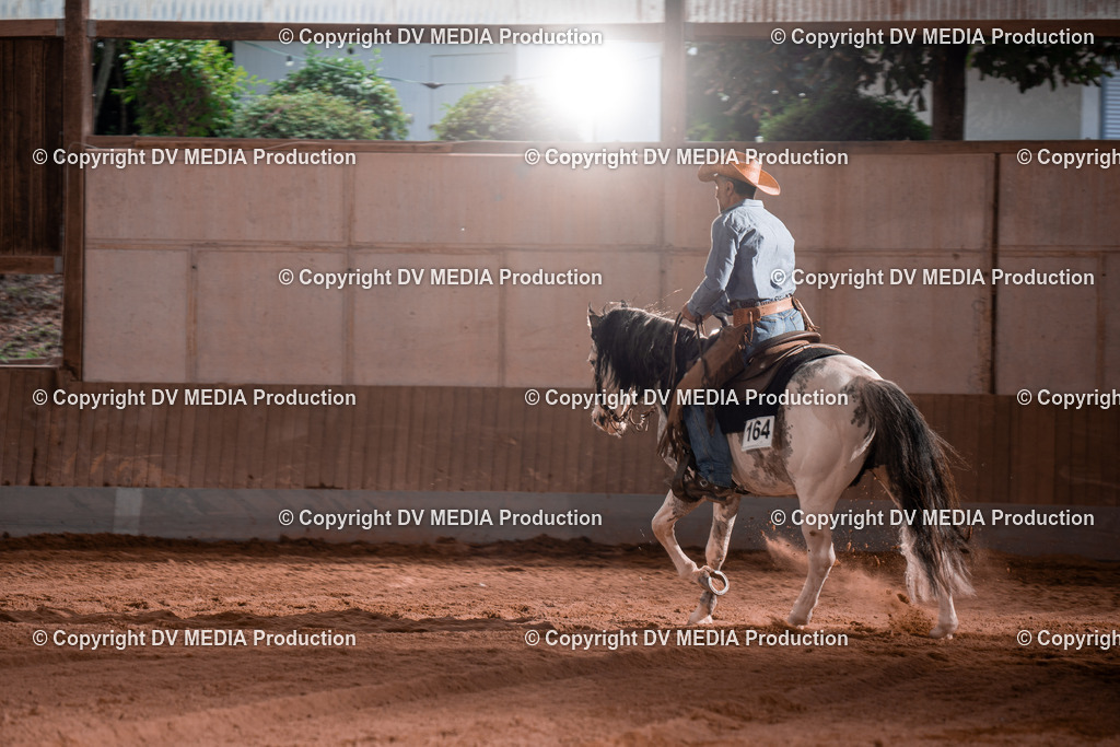 NE100762 | dv-media-shop - Realisiert mit Pictrs.com