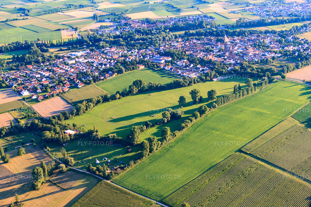 Luftbild: Purzelmarkwiese im Ortsteil Billigheim in Billigheim-Ingenheim im Bundesland Rheinland-Pfalz in Deutschland. Foto: IMG_51095.jpg vom 22.07.2012 durch Werner Riehm/FLY-FOTO.deAuflösung des Originals: 4752 x 3168 px