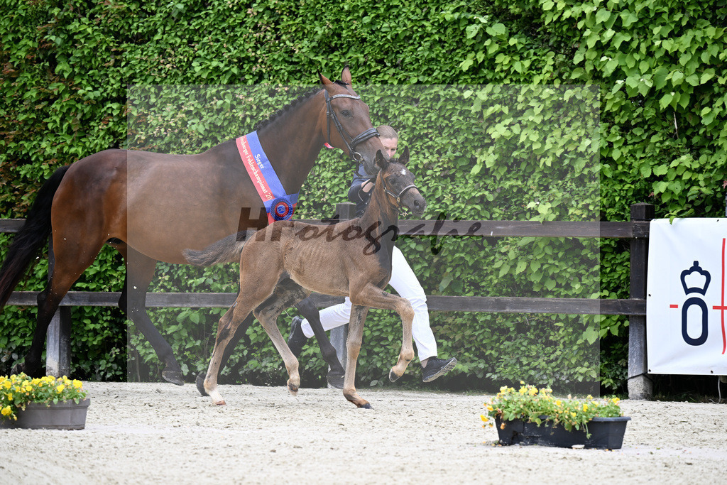 Kat-Nr. 4 Bonhoeffer x Danone_Zweckl_25240338 | hf-fotografie - Realisiert mit Pictrs.com