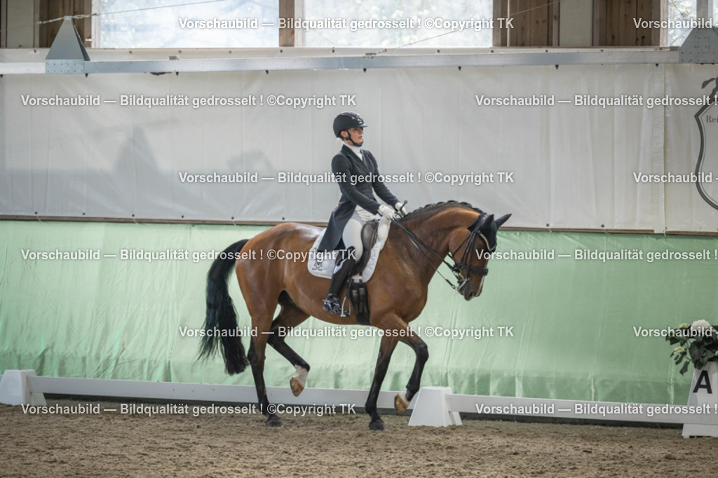 _D5A6678 | Emotionale Pferde- & People-Fotografie rund um Heidelberg, Leimen & Umgebung. Natürliche Fotos von Pferd, Mensch & Familie. Jetzt Termin sichern!