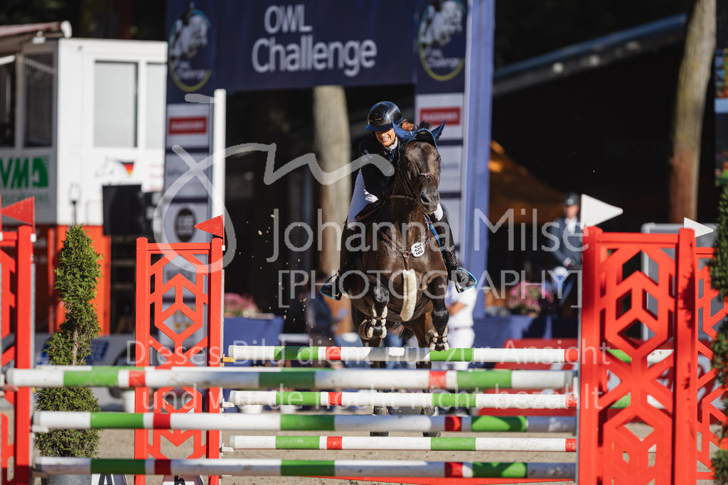 230908_OWLCh_AmateurS-149 | Deine schönsten Turniermomente als professionelle Fotos! Entdecke hochwertige Pferdesport-Fotografie im Online-Shop. Jetzt Fotos finden & bestellen!