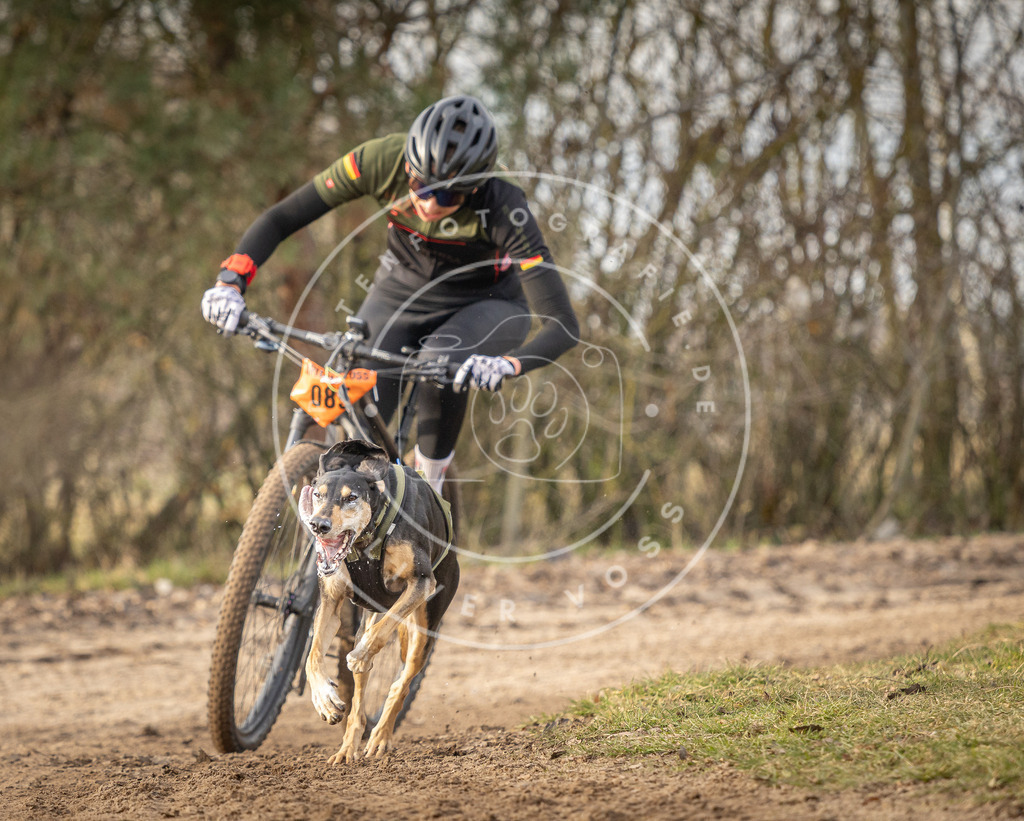 Pfotenfotografie_DV3A7585 | Hundefotografie, Tierfotograf, Pfotenfotografie, Fotoshooting Hund, Hunde Portrait, Hundesport, Hundeportraits, Heideshooting, Hunde, Sportfotograf, Hundefotograf, Turnierhundsport, THS,  - Realisiert mit Pictrs.com