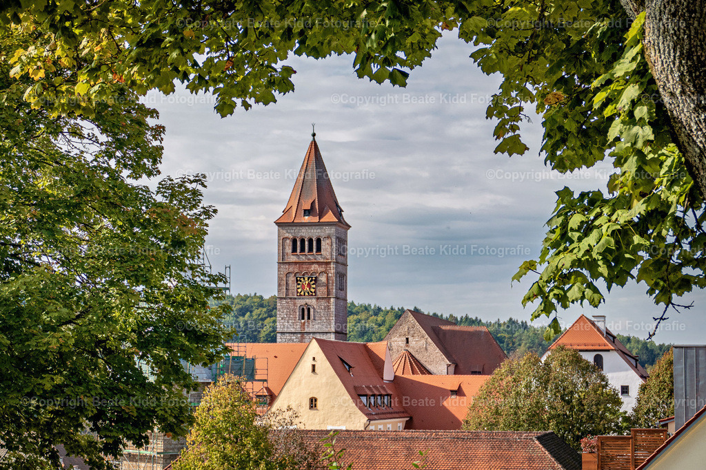 P1200228 | beatekidd-fotografie - Realisiert mit Pictrs.com