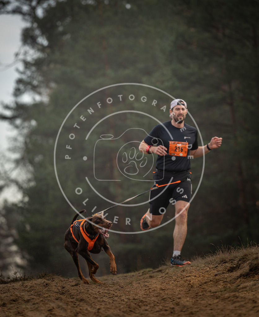 Pfotenfotografie_DV3A5256 | Hundefotografie, Tierfotograf, Pfotenfotografie, Fotoshooting Hund, Hunde Portrait, Hundesport, Hundeportraits, Heideshooting, Hunde, Sportfotograf, Hundefotograf, Turnierhundsport, THS,  - Realisiert mit Pictrs.com