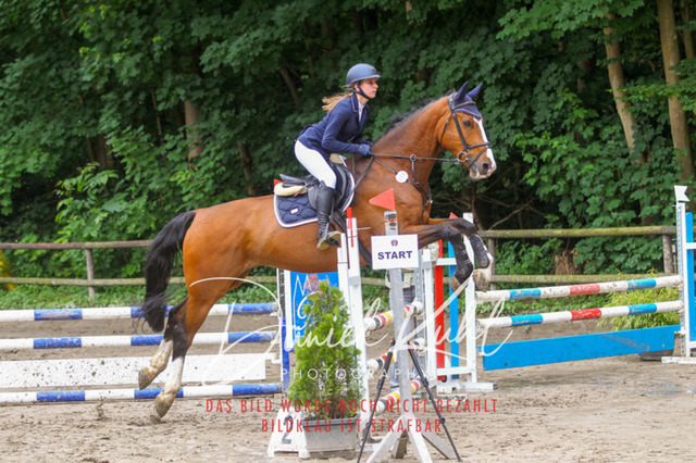 DKP44933 | Turnierfotos kaufen im Webshop von Daniel Kuhl Photography – entdecke professionelle Reitsportfotos aus Turnieren & Events. Hochwertige Turnierbilder online bestellen & sichern. Jetzt Fotos von Reitsportturnieren kaufen!
