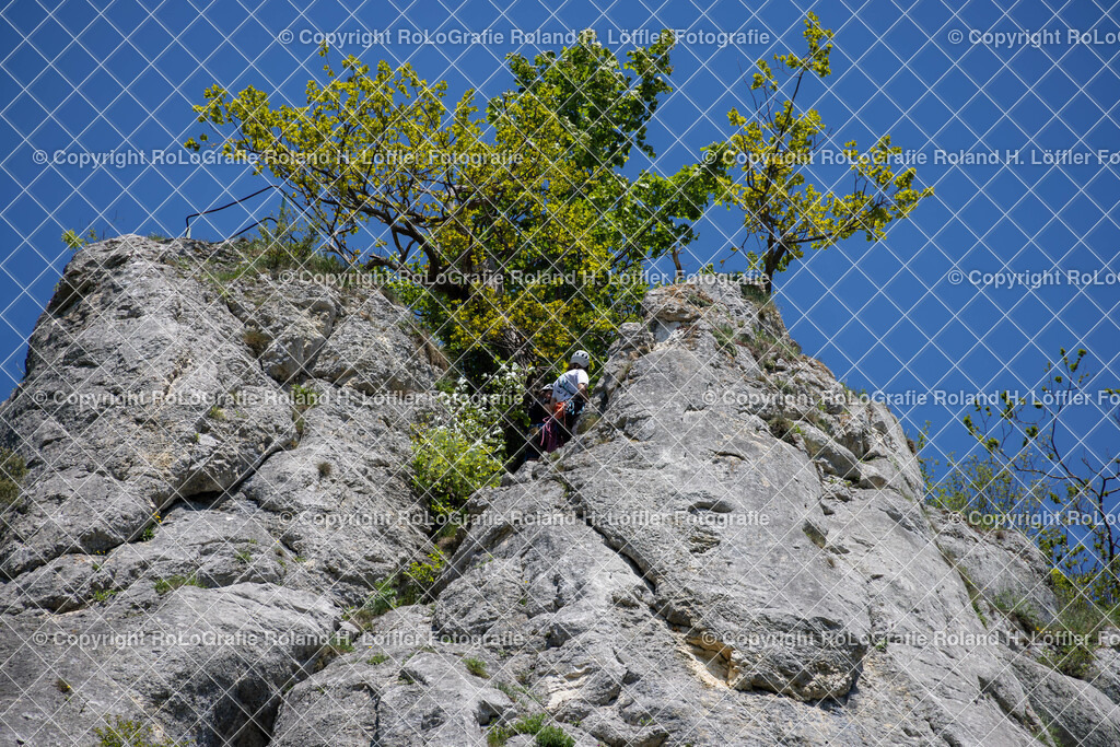 20240511_Fototag-Donautal-36 | IPTC Infos - Realisiert mit Pictrs.com