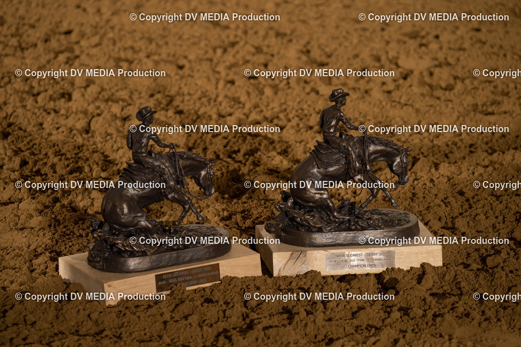 LAU01071 | dv-media-shop - Realisiert mit Pictrs.com