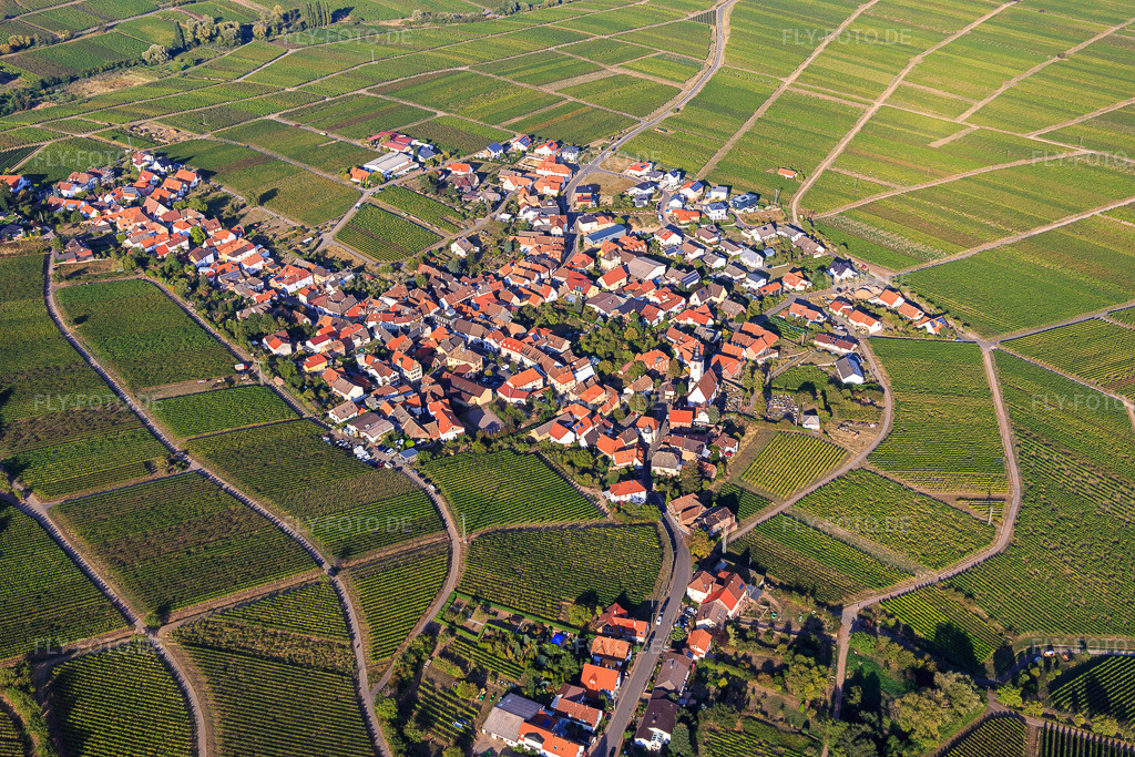 Luftbild: Winzerdorfansicht zwischen Weinbergen aus Süden in Weyher in der Pfalz im Bundesland Rheinland-Pfalz in Deutschland. Foto: IMG_111773.jpg vom 16.09.2018 durch Werner Riehm/FLY-FOTO.de