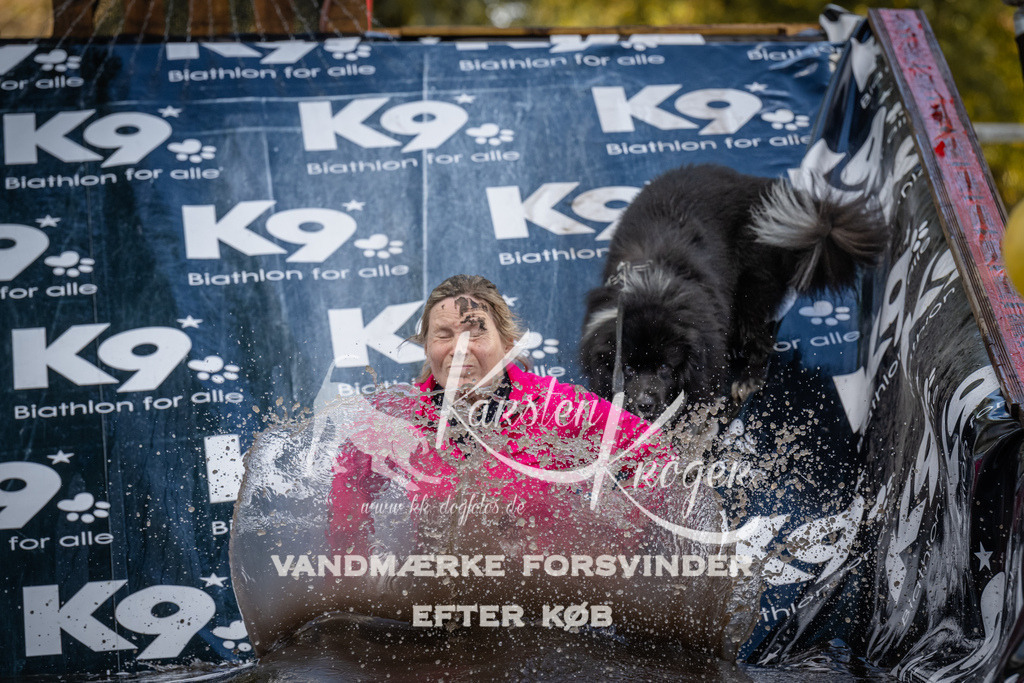 1542_ZZ90631 | kk-dogfotos