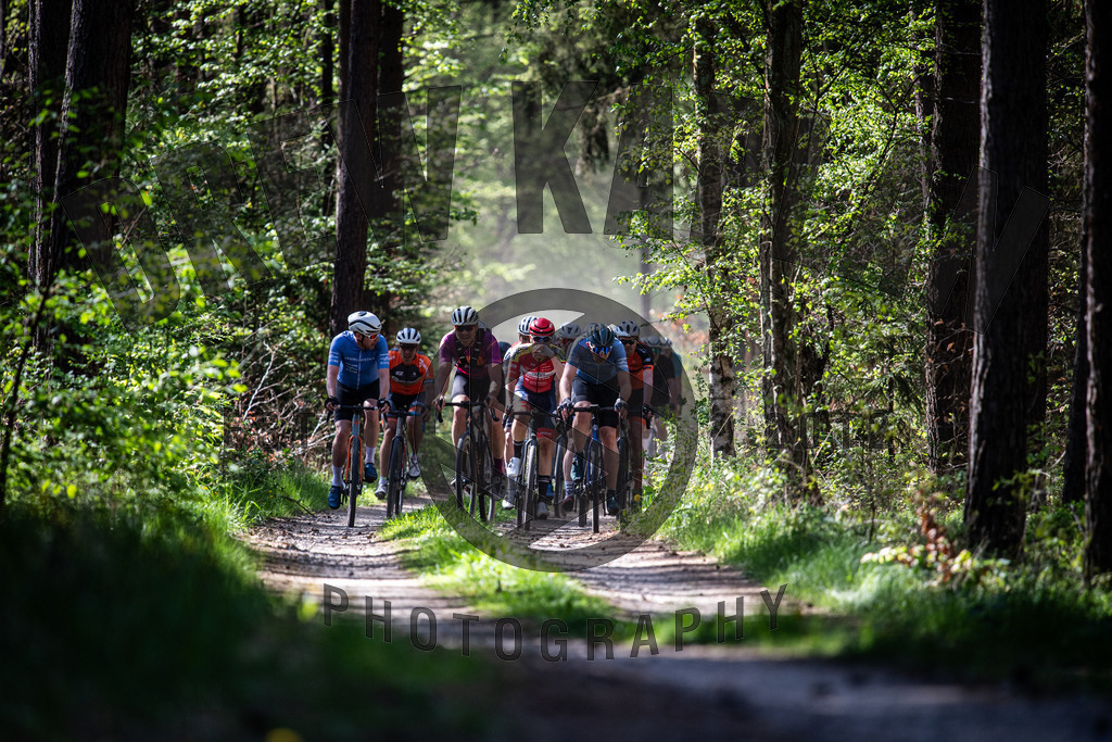 DKP-1954 | Drew Kaplan Photography