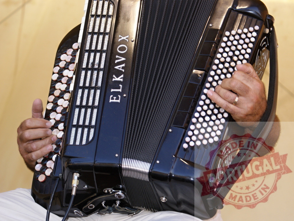 Musician playing ElkaVox accordion during a concert | Musician playing a black ElkaVox accordion during a live concert - Realized with Pictrs.com
