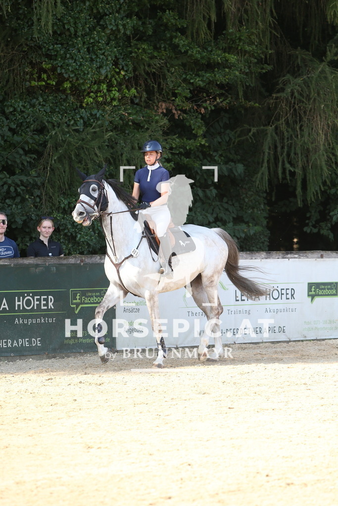 DL2Q0149 | Willkommen bei Brunnmayr - Design & Fotografie – Ihrem Spezialisten für Reitturniere und Pferdeveranstaltungen in Oberösterreich, Salzburg und Bayern! Seit über 17 Jahren sind wir leidenschaftlich dabei.