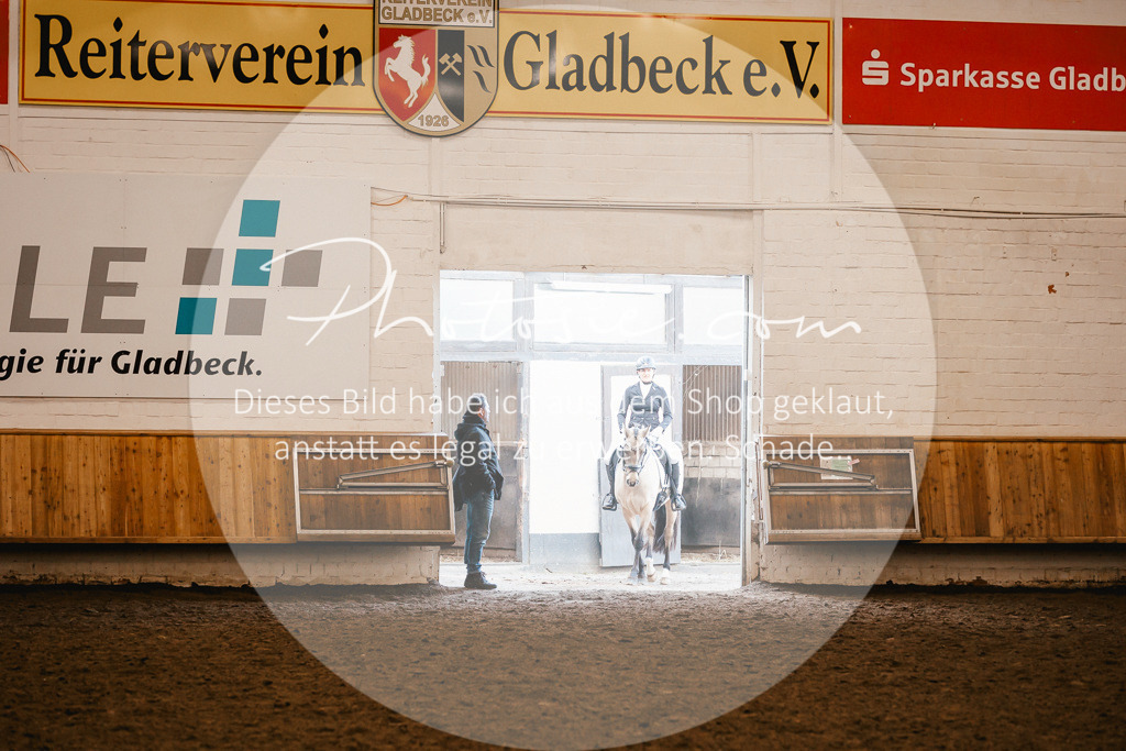 3I6A1480 | Stimmungsvolle Portraits und Reitsportfotografie im Ruhrgebiet und im Münsterland.

Pferdefotografie, Hundefotografie, Tierfotografie, Reportagen, Portraits von Tier und Mensch, Turnierfotografie in Bochum, Recklinghausen, Marl, Haltern am See, Dülmen.. - Realisiert mit Pictrs.com