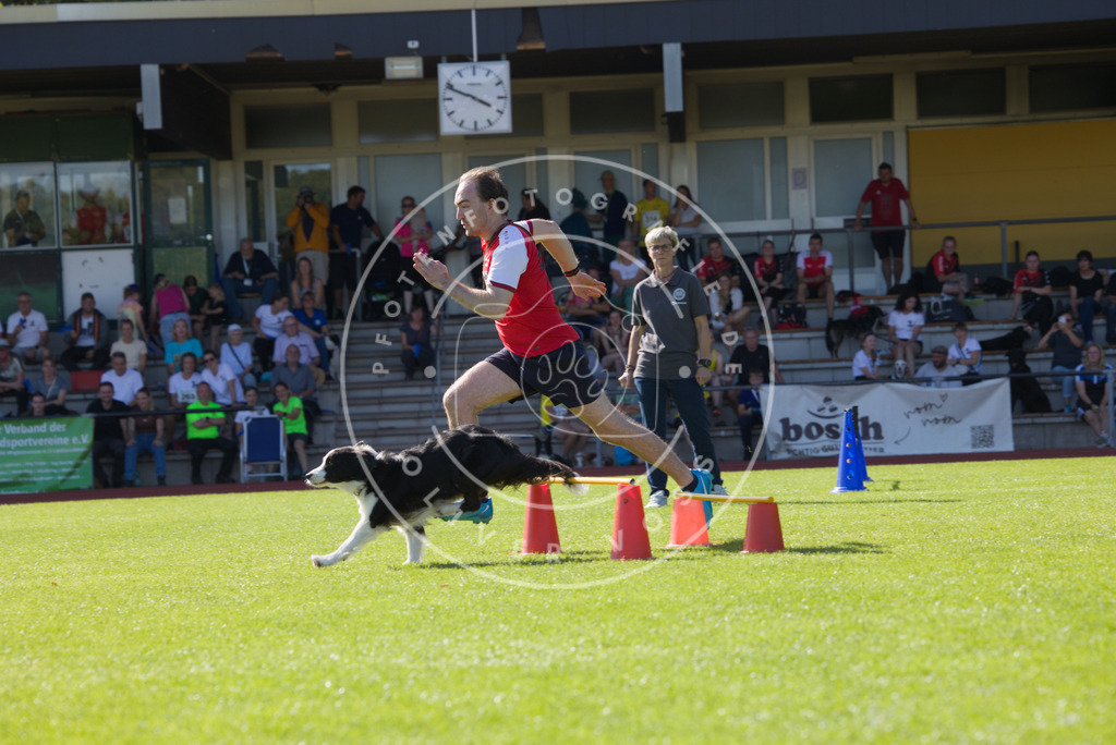 0L8A8398 | Hundefotografie, Tierfotograf, Pfotenfotografie, Fotoshooting Hund, Hunde Portrait, Hundesport, Hundeportraits, Heideshooting, Hunde, Sportfotograf, Hundefotograf, Turnierhundsport, THS,  - Realisiert mit Pictrs.com