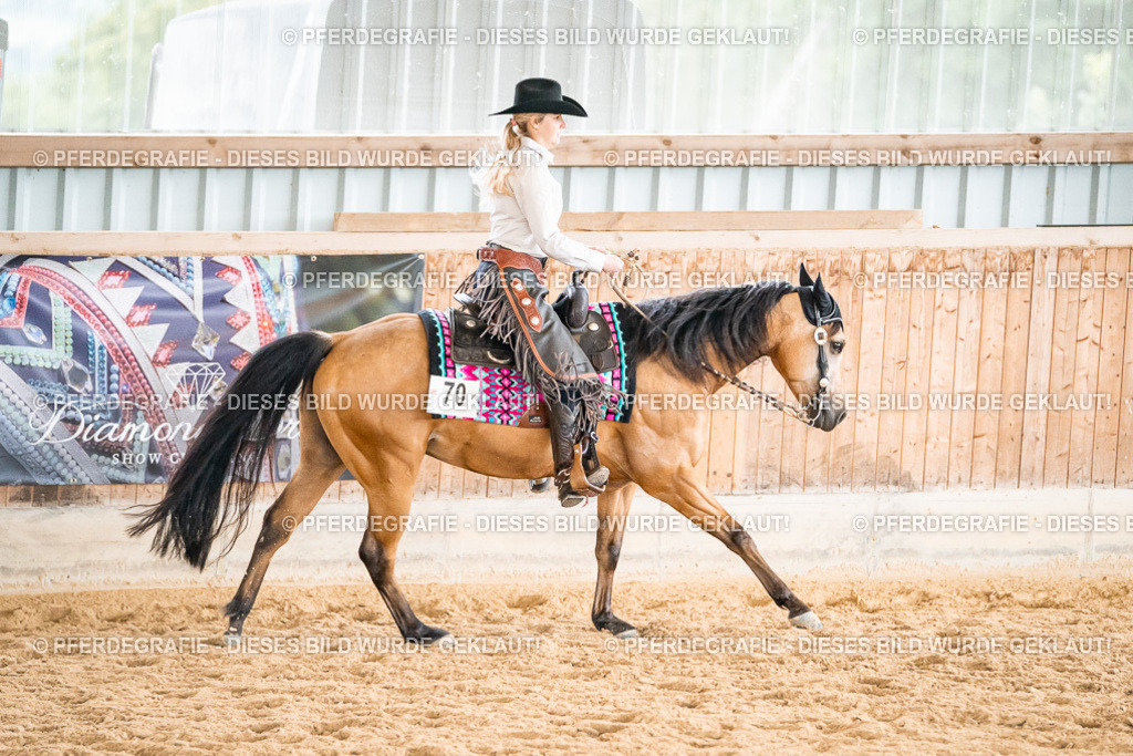 DSC01027 | Pferdegrafie