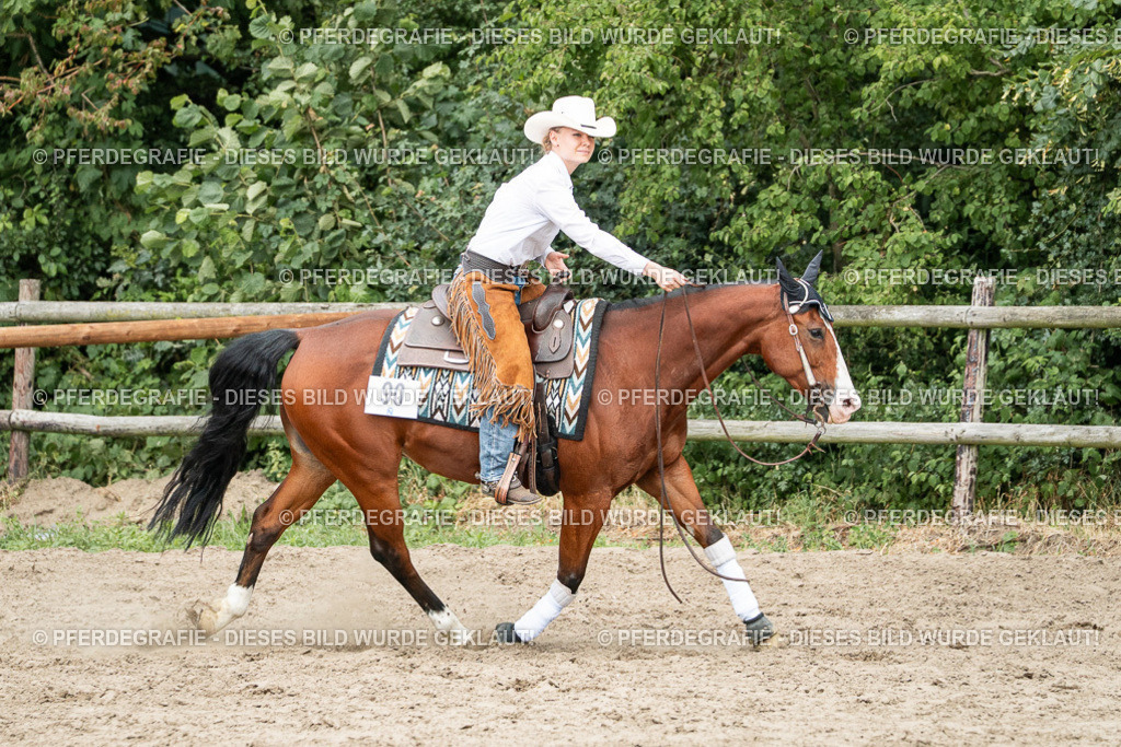 DSC02102 | Pferdegrafie