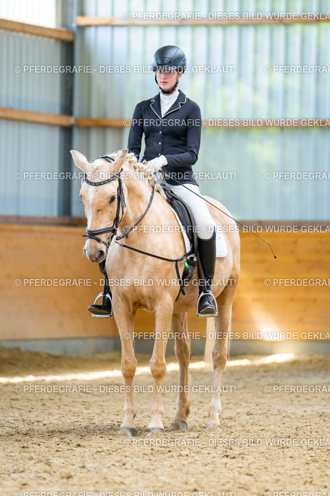 DSC09301 | Pferdegrafie