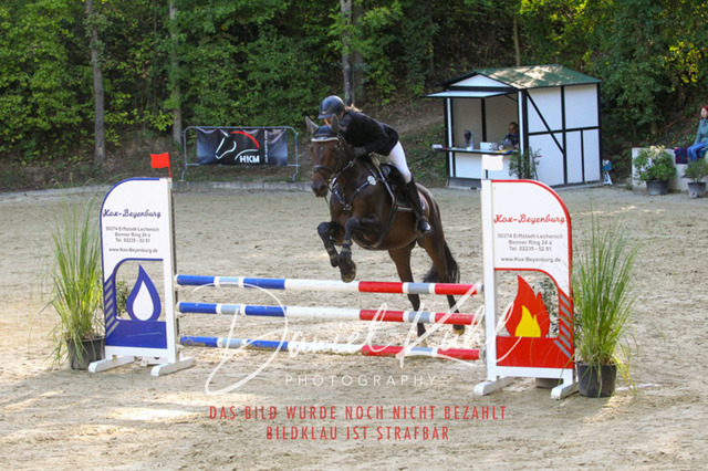 DKP42761 | Turniersportfotografie; Pferdefotografie; Dressurfotografie