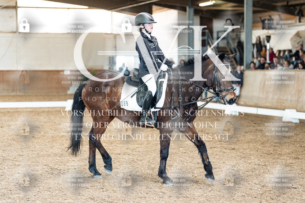 CK900636 | Turnierfotografie Pferdefotografie Trier Rheinland-Pfalz Pferdesport Reitsport Tierfotografie Sportfotografie Pferdevideo Pferdevideografie Equestrianvideography equestrianphotography  - Realisiert mit Pictrs.com