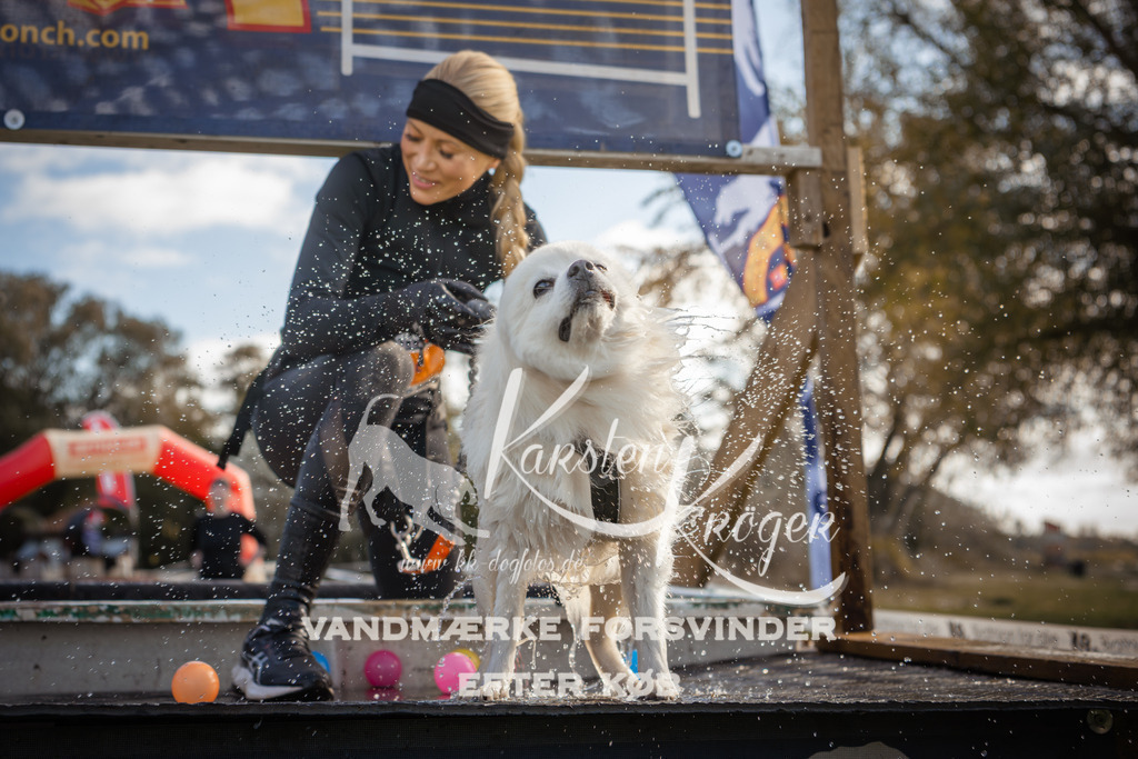 1303_ZZ98862-2 | kk-dogfotos