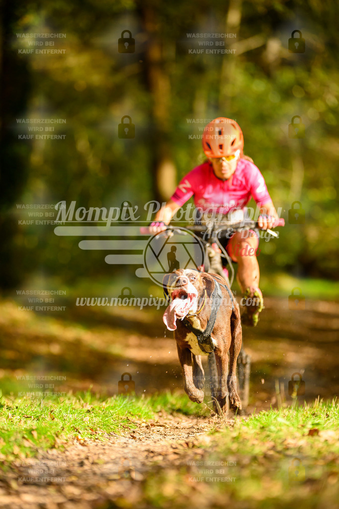 MompixPhotography_20TSB_E1_DS1-15 | PayLife