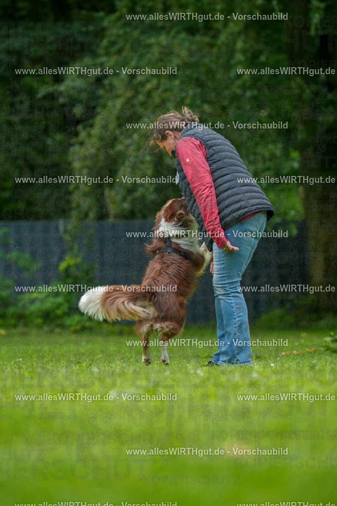 @allesWIRTHgut_Tierfotografie - www.allesWIRTHgut.de - 7R501430 | Professionelle Tierfotografie in Mönchengladbach von Daniel Wirth (allesWIRTHgut). Liebevolle & natürliche Bilder von Hunden & Katzen für unvergessliche Erinnerungen.