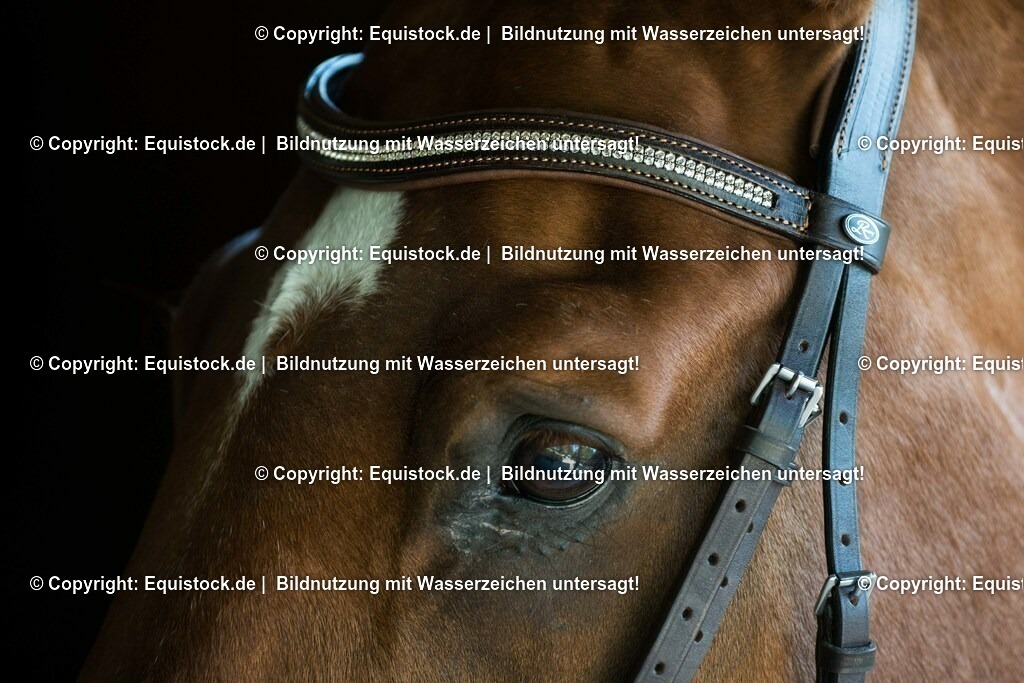 TS_20170624_Details_Trense_0001 | Foto: Thomas Hartig