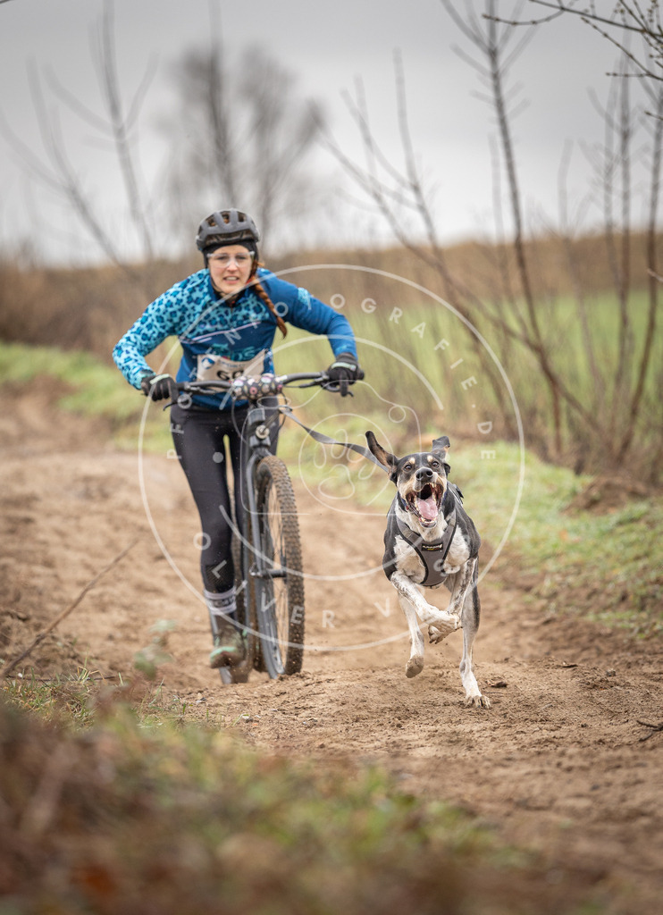 DV3A9193 | Hundefotografie, Tierfotograf, Pfotenfotografie, Fotoshooting Hund, Hunde Portrait, Hundesport, Hundeportraits, Heideshooting, Hunde, Sportfotograf, Hundefotograf, Turnierhundsport, THS,  - Realisiert mit Pictrs.com