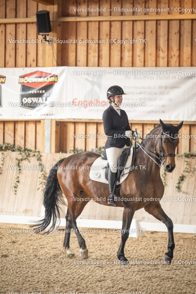 _D5A2736 | Emotionale Pferde- & People-Fotografie rund um Heidelberg, Leimen & Umgebung. Natürliche Fotos von Pferd, Mensch & Familie. Jetzt Termin sichern!