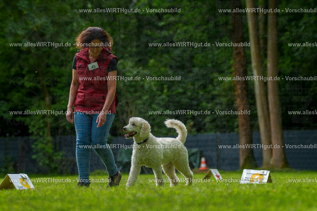 @allesWIRTHgut_Tierfotografie - www.allesWIRTHgut.de - 7R505217 | Professionelle Tierfotografie in Mönchengladbach von Daniel Wirth (allesWIRTHgut). Liebevolle & natürliche Bilder von Hunden & Katzen für unvergessliche Erinnerungen.