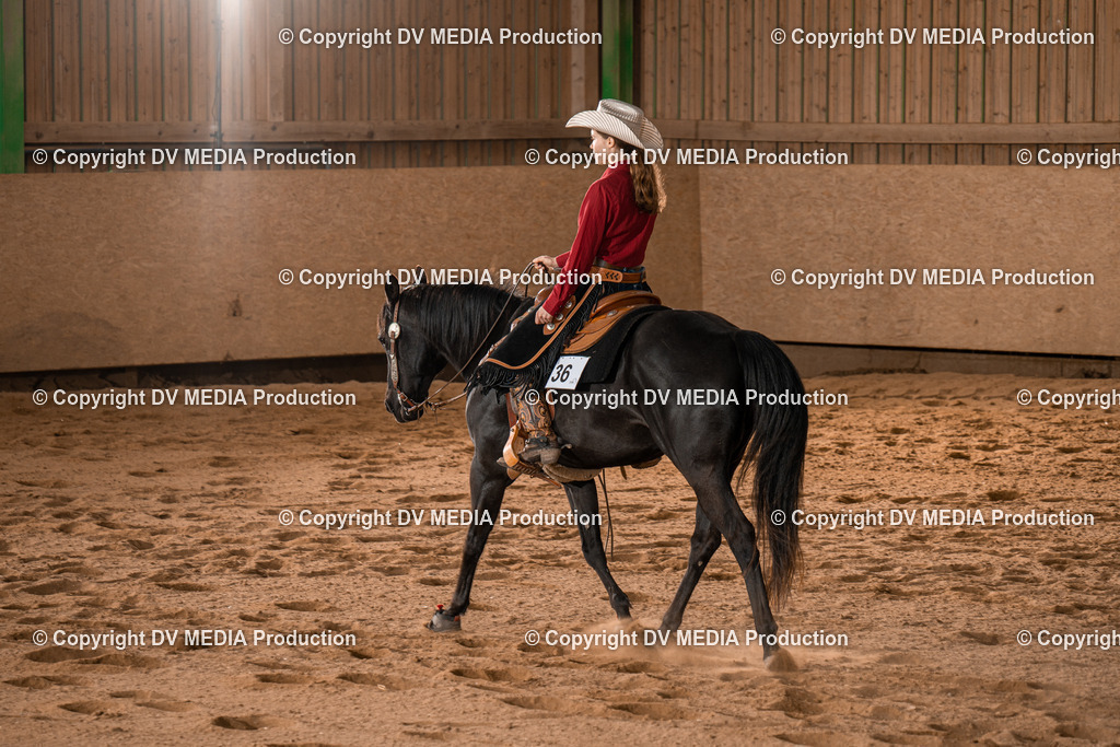 BA400811 | dv-media-shop - Realisiert mit Pictrs.com