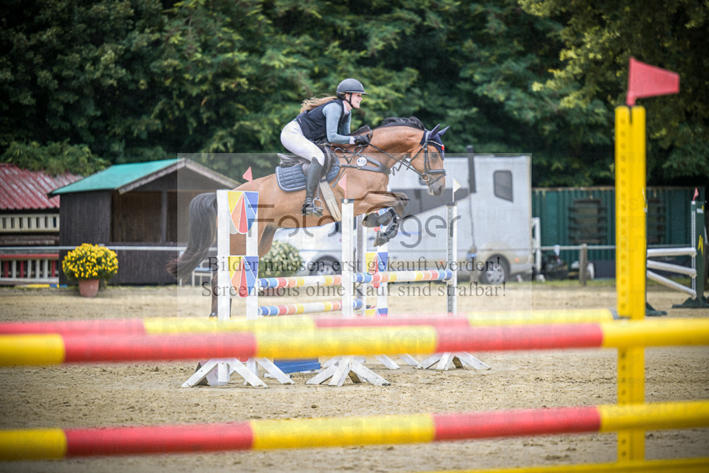 DOS_8181 | Entdecke hochwertige Reitturnierfotos von Foto Oger. Professionell, emotional und authentisch – jetzt Lieblingsmomente im Shop bestellen.Deutschlandweite Turnierfotografie. - Realisiert mit Pictrs.com