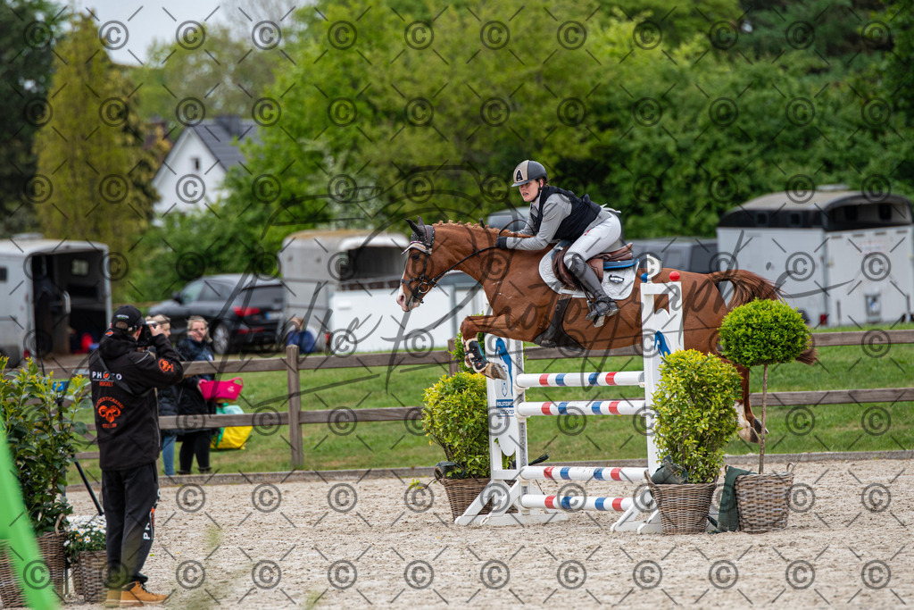 KPT_8163 | andre_photographic