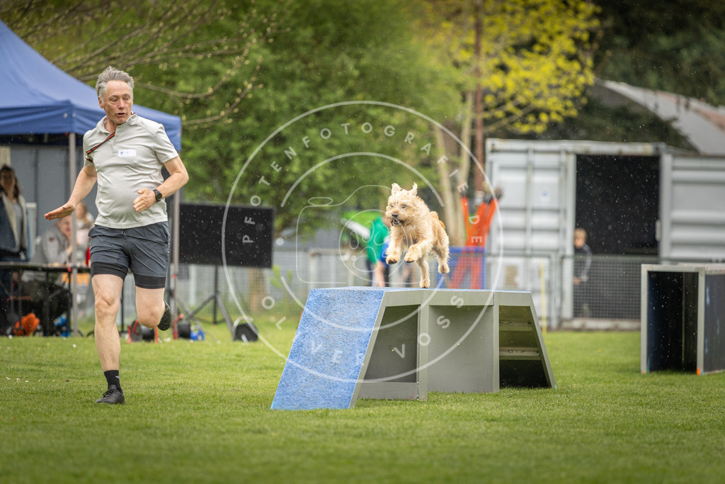 Pfotenfotografie_DV3A3179 | Hundefotografie, Tierfotograf, Pfotenfotografie, Fotoshooting Hund, Hunde Portrait, Hundesport, Hundeportraits, Heideshooting, Hunde, Sportfotograf, Hundefotograf, Turnierhundsport, THS,  - Realisiert mit Pictrs.com