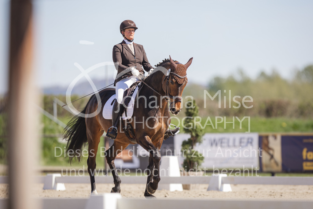 220418_Dressurpferde-L-136 | Frühlingsfest der Pferde
Herford
18.April 2022
Dressurpferdeprfg. Kl.L DL2