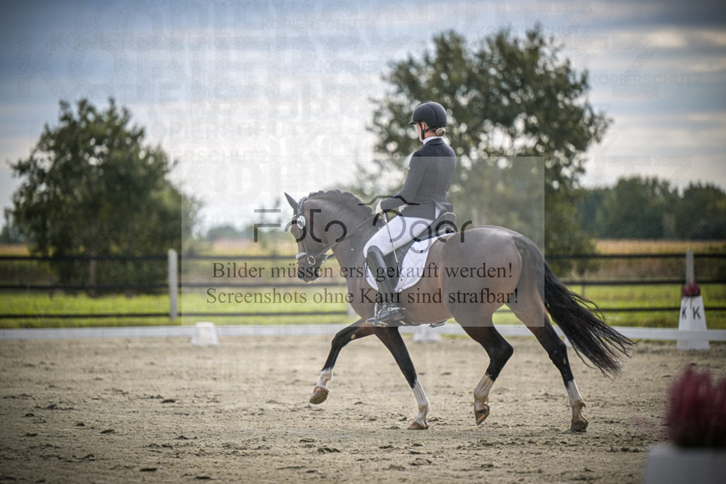 DOS_1079 | Entdecke hochwertige Reitturnierfotos von Foto Oger. Professionell, emotional und authentisch – jetzt Lieblingsmomente im Shop bestellen.Deutschlandweite Turnierfotografie. - Realisiert mit Pictrs.com