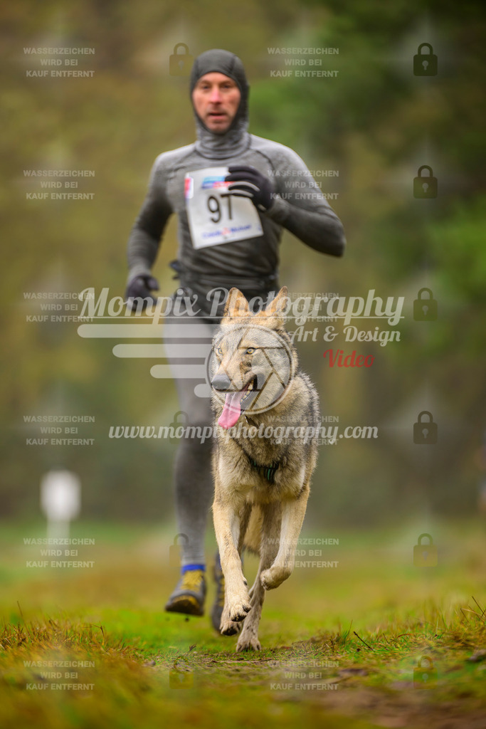 MompixPhotography_Bischwiller2025_Canicross-156 | mompixphotography