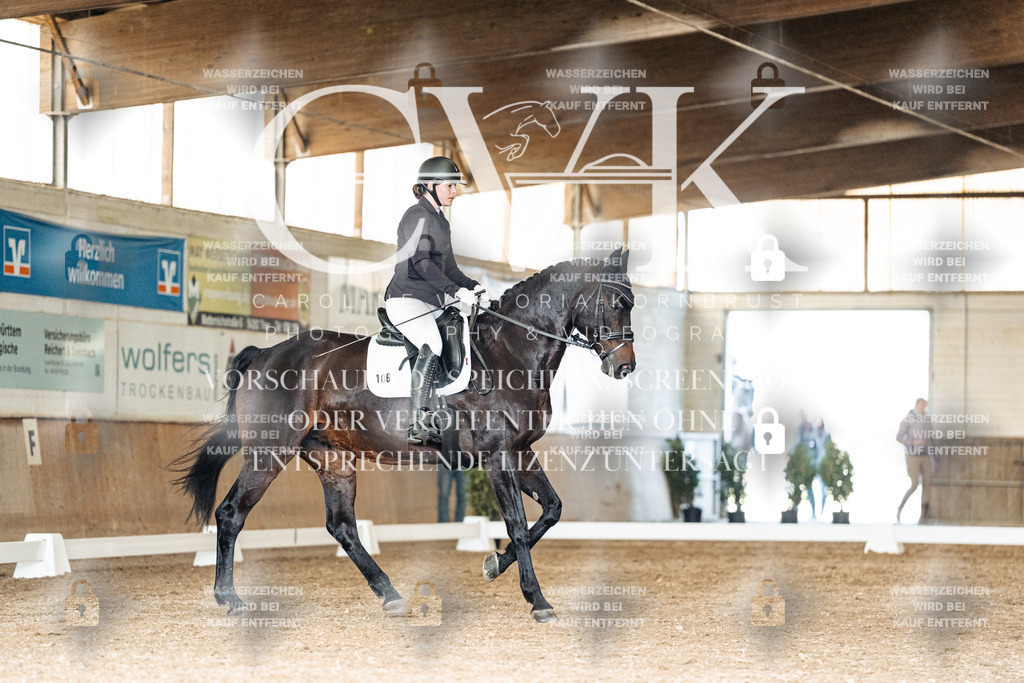 CK902075 | Turnierfotografie Pferdefotografie Trier Rheinland-Pfalz Pferdesport Reitsport Tierfotografie Sportfotografie Pferdevideo Pferdevideografie Equestrianvideography equestrianphotography  - Realisiert mit Pictrs.com