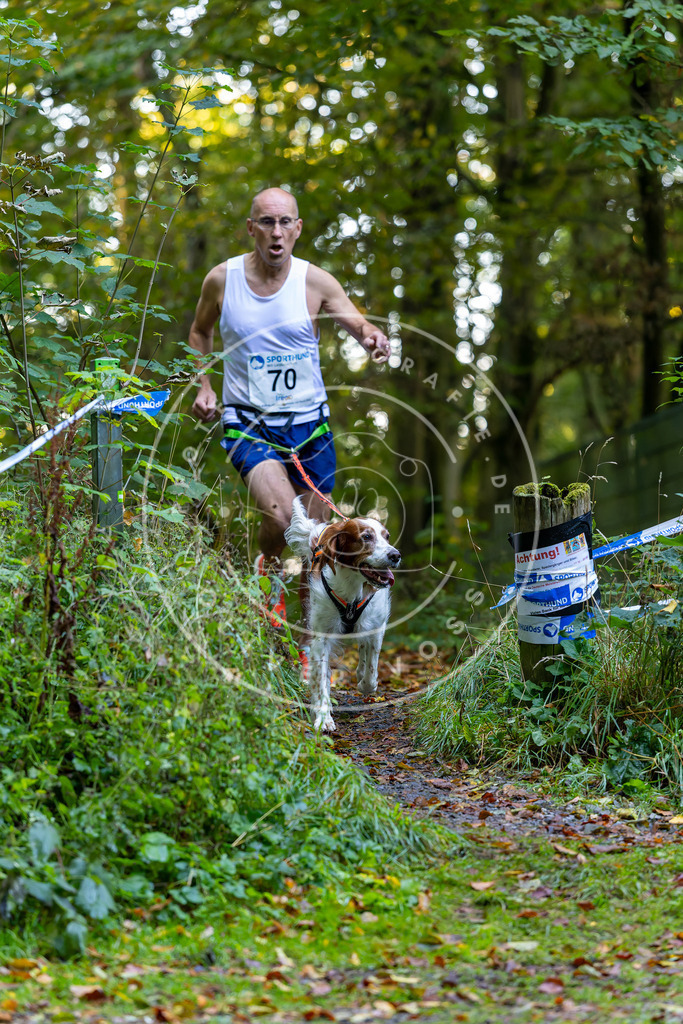 Pfotenfotografie_DV3A7343 | Hundefotografie, Tierfotograf, Pfotenfotografie, Fotoshooting Hund, Hunde Portrait, Hundesport, Hundeportraits, Heideshooting, Hunde, Sportfotograf, Hundefotograf, Turnierhundsport, THS,  - Realisiert mit Pictrs.com