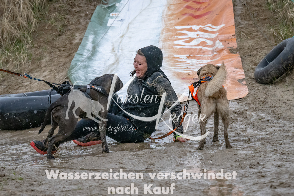 1539_ZZ90666-Bearbeitet | kk-dogfotos