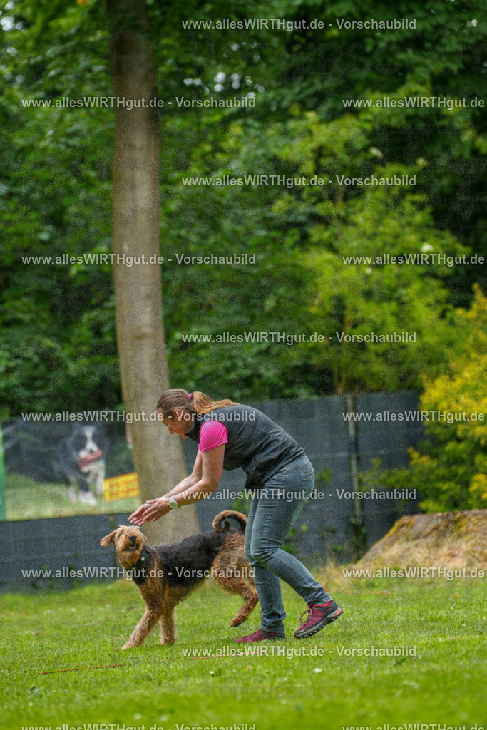 @allesWIRTHgut_Tierfotografie - www.allesWIRTHgut.de - 124100-7R509302 | Professionelle Tierfotografie in Mönchengladbach von Daniel Wirth (allesWIRTHgut). Liebevolle & natürliche Bilder von Hunden & Katzen für unvergessliche Erinnerungen.