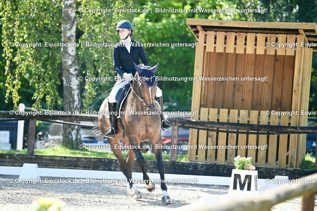 20230908_06_Dressur-L-Trense_0383 | equistock