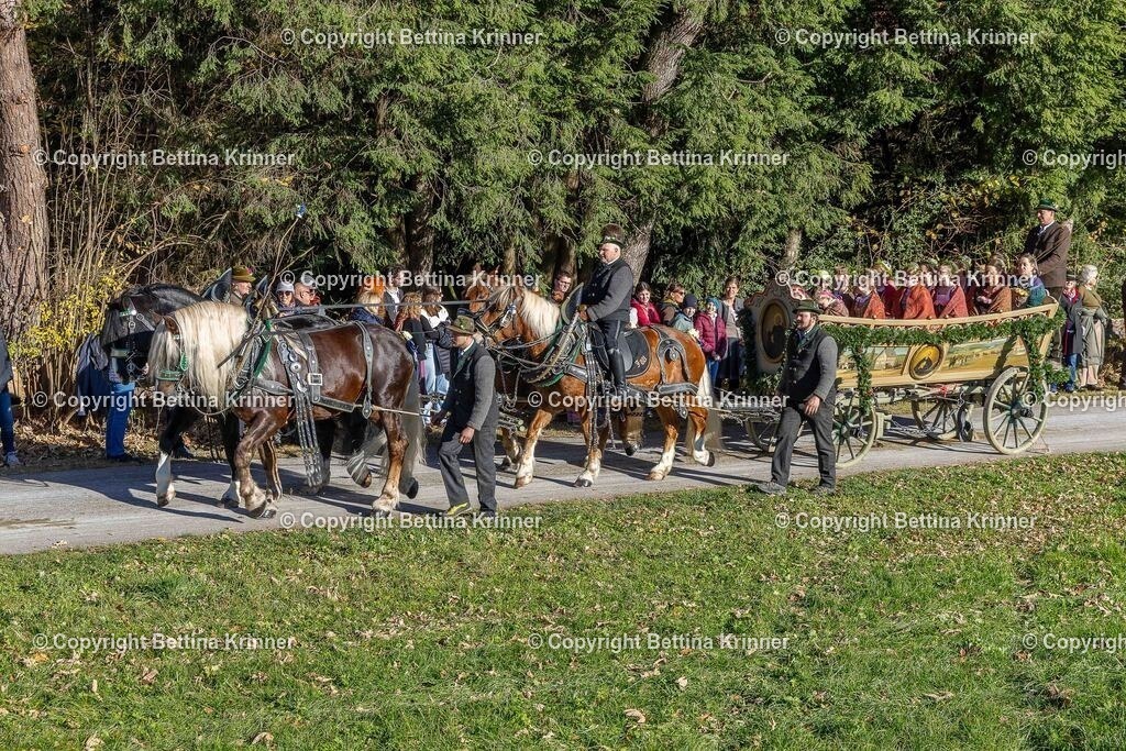 LBT25-749 | foto-bettina-krinner - Realisiert mit Pictrs.com