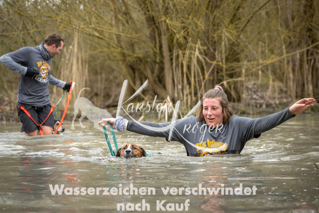 1232_ZZ98094 | kk-dogfotos