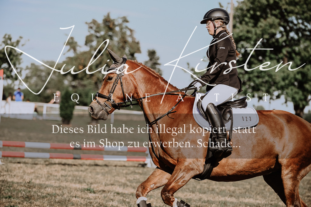 DSC_9385 | Pferde- und Turnierfotografie in Westsachsen. Pferdeportraits, Auftragszeichnungen und intuitive Kunst.