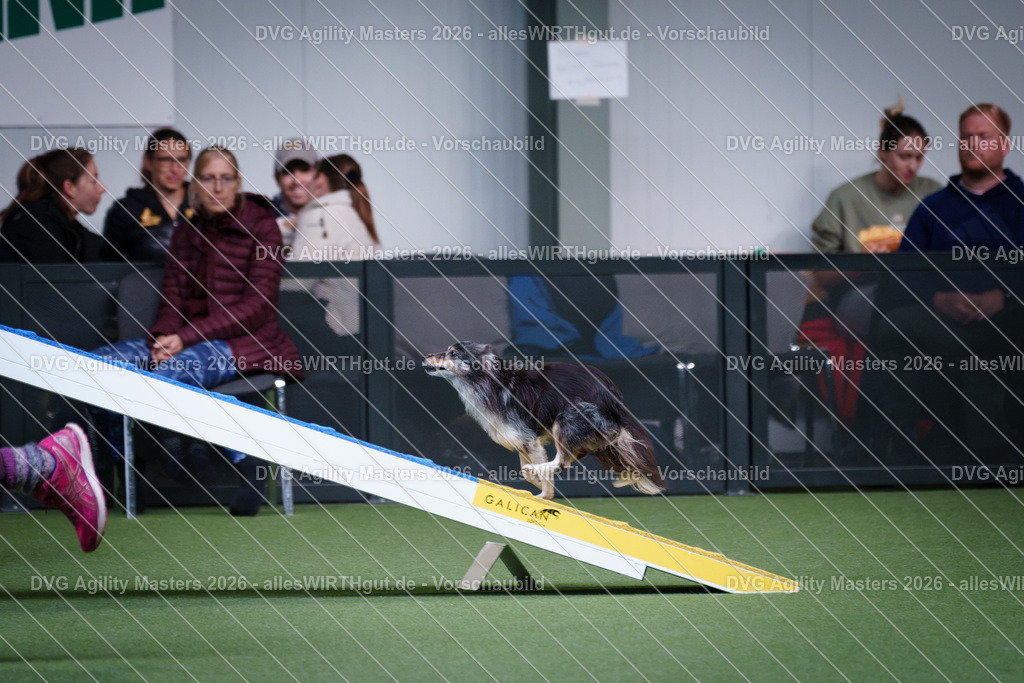 allesWIRTHgut_Tierfotografie-DVG_Agility_Masters_2026-13_47-7R503959 | Professionelle Tierfotografie in Mönchengladbach von Daniel Wirth (allesWIRTHgut). Liebevolle & natürliche Bilder von Hunden & Katzen für unvergessliche Erinnerungen.